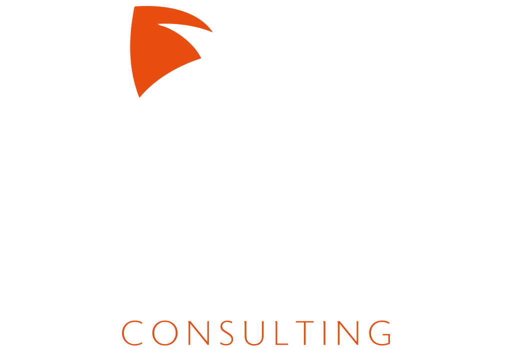 Raccoon-Consulting